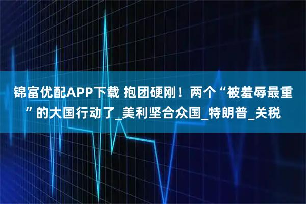 锦富优配APP下载 抱团硬刚！两个“被羞辱最重”的大国行动了_美利坚合众国_特朗普_关税